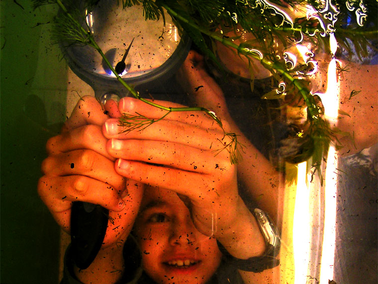 Investigating life in water