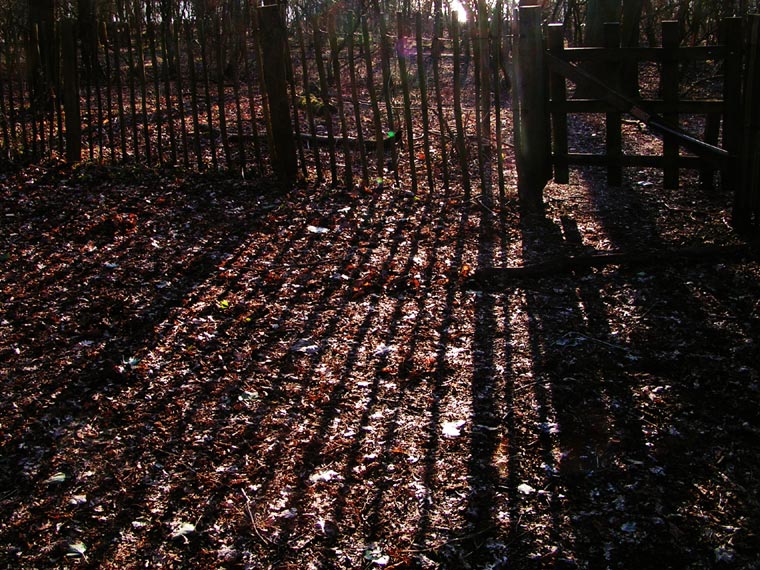 Fence