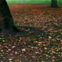 20091001