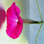 20091008
