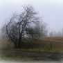 20100119