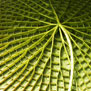 20100204