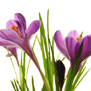 20100212