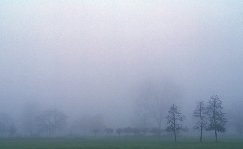 Misty morning