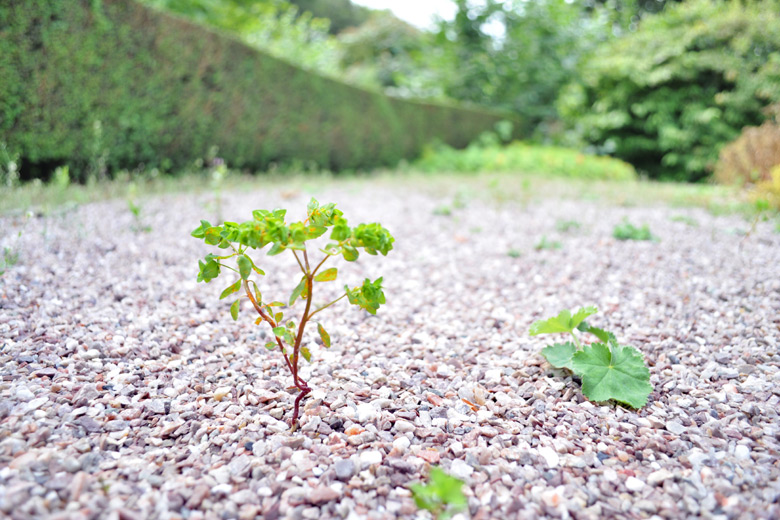 Norton Priory, Runcorn, UK