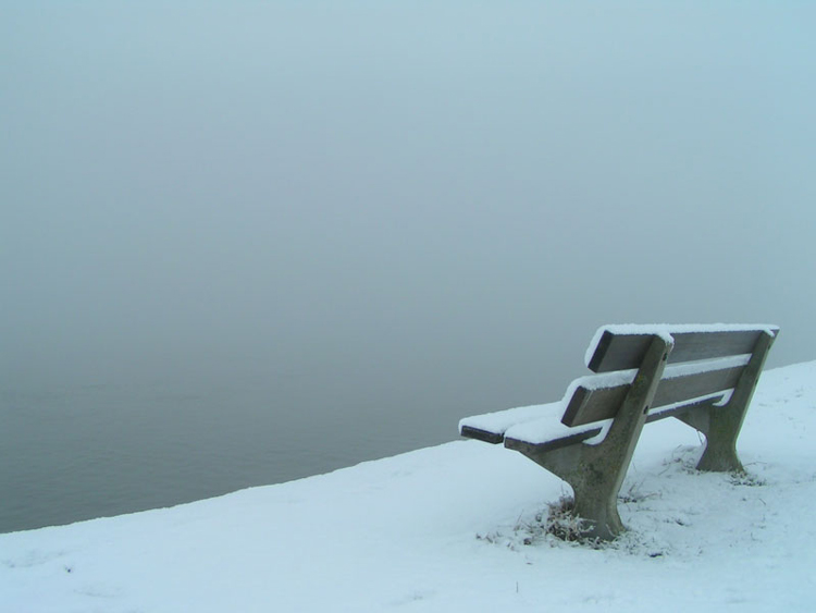 A bench in the snow by the river Maas