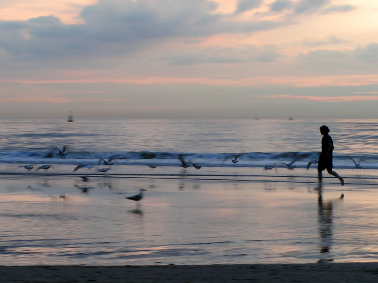 Scaring away the seagulls