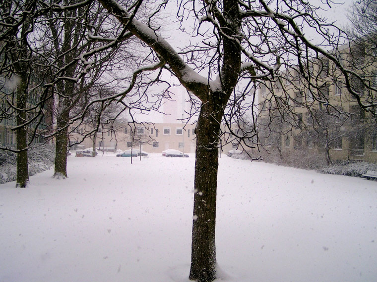 It's snowing some more